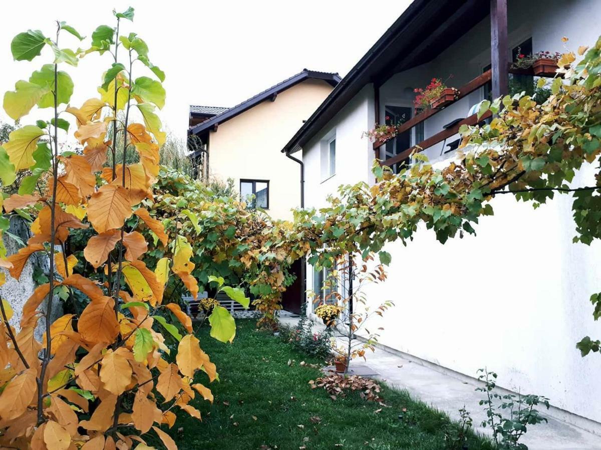 Casa Mais Brașov Exterior foto
