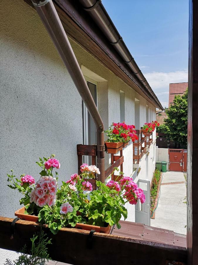 Casa Mais Brașov Exterior foto